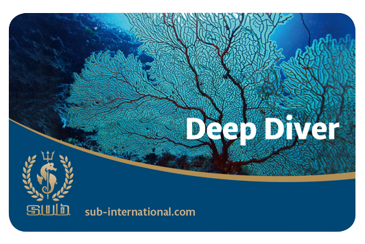 Deep Diver Specialty 04.-05./07. in Hunsfels