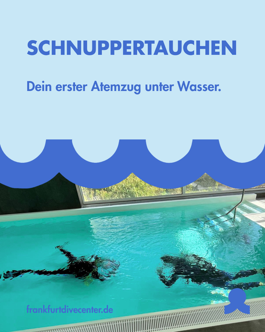 Schnuppertauchen Standard