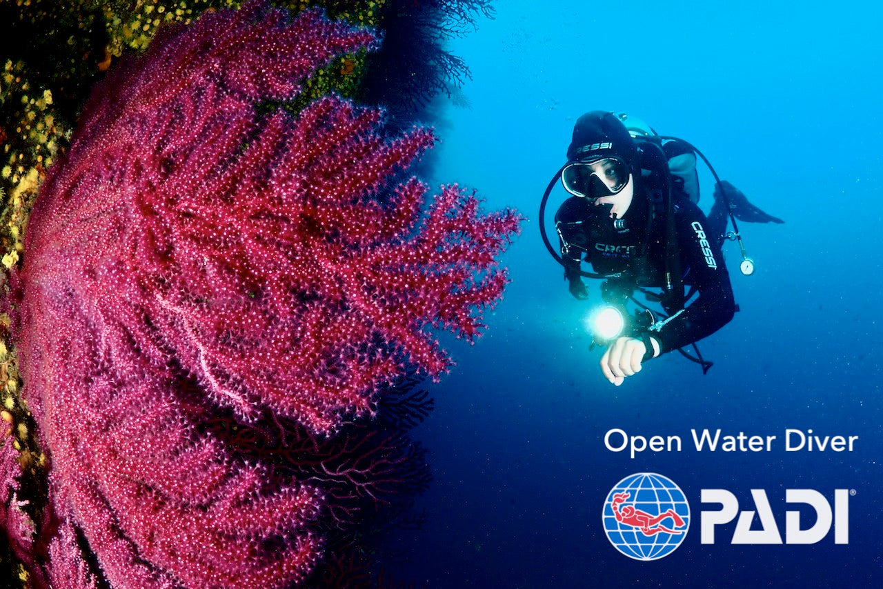 PADI Open Water Diver - Tauchschein in zwei Wochenenden