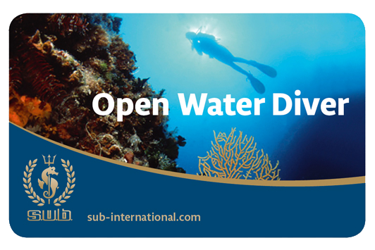 Open Water Diver Kompaktkurs – Start 04. September